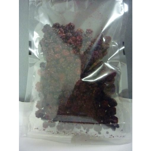 Paleolit Liofilizált szeder szemek 50g Blackberries freeze-dried