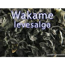GTB Wakame szárított tengeri alga 100g